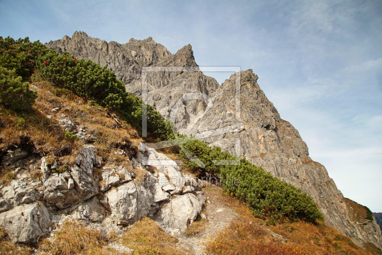 Bild-Nr.: 11368567 Baumgrenze erstellt von FotoDeHRO