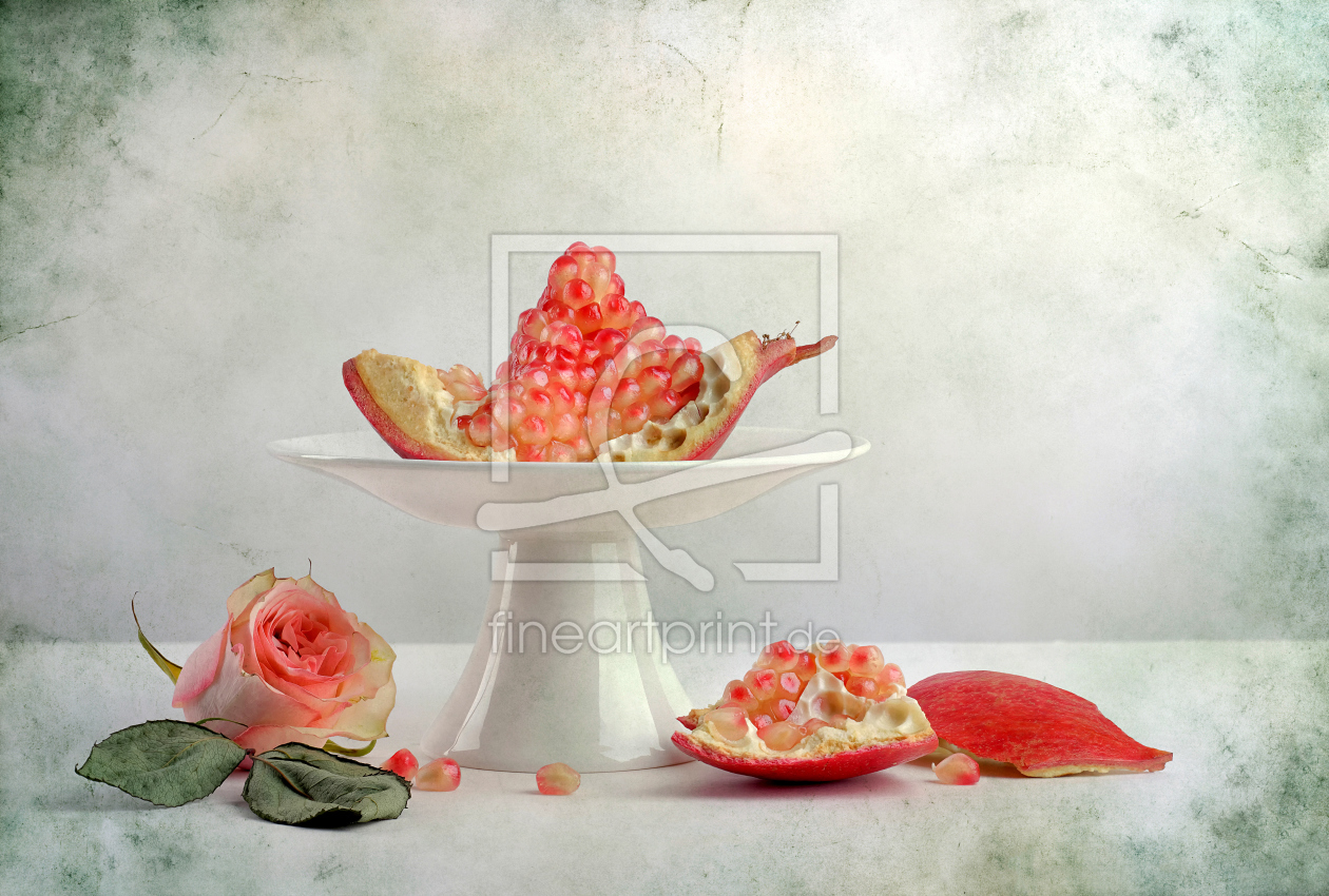 Bild-Nr.: 11368851 Granatapfel und Rose erstellt von Rolf Eschbach
