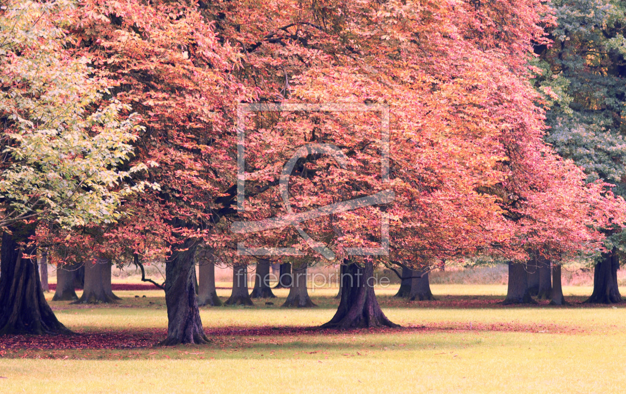 Bild-Nr.: 11369081 Herbstwald +Art+ erstellt von GUGIGEI