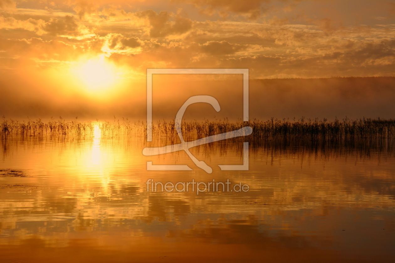 Bild-Nr.: 11369259 good morning erstellt von GUGIGEI