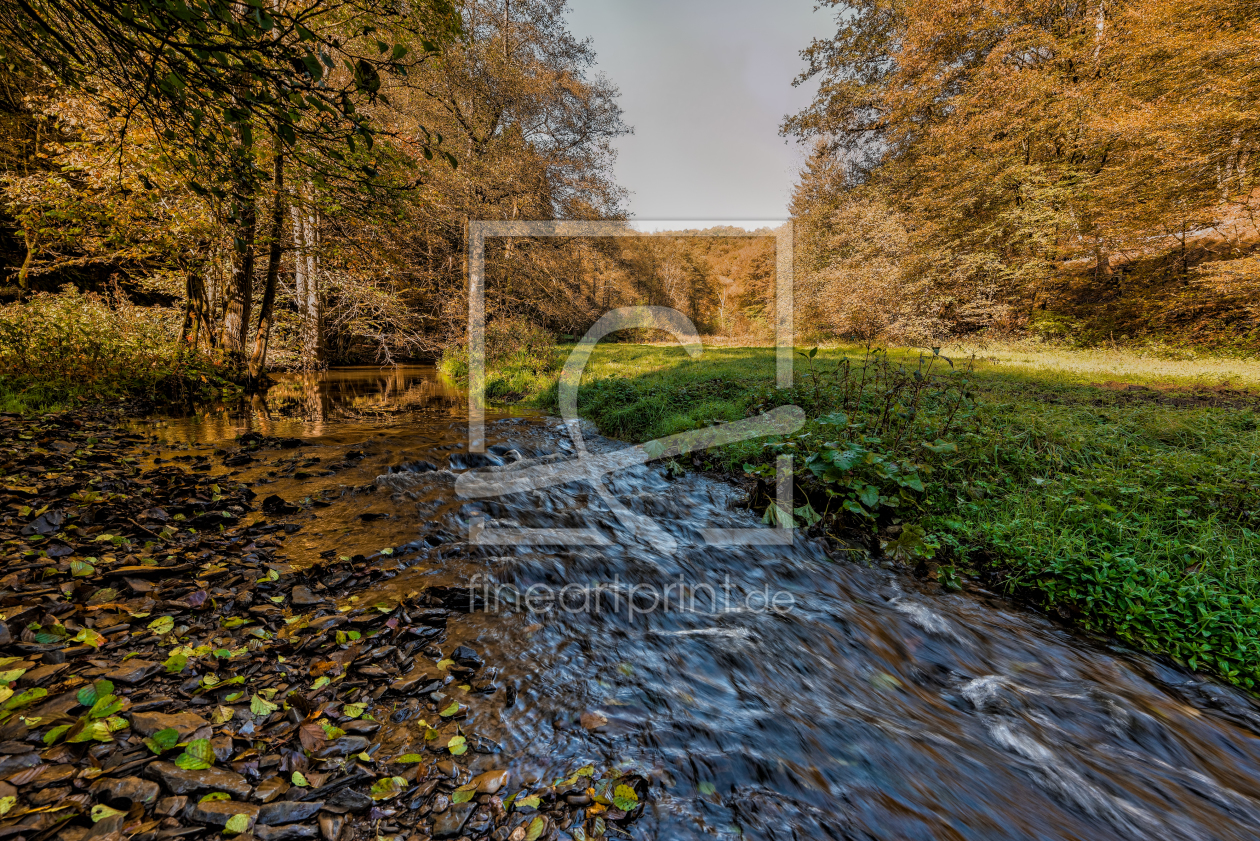 Bild-Nr.: 11369865 Der Herbst in deutschen Wäldern erstellt von danielgiesenphotography