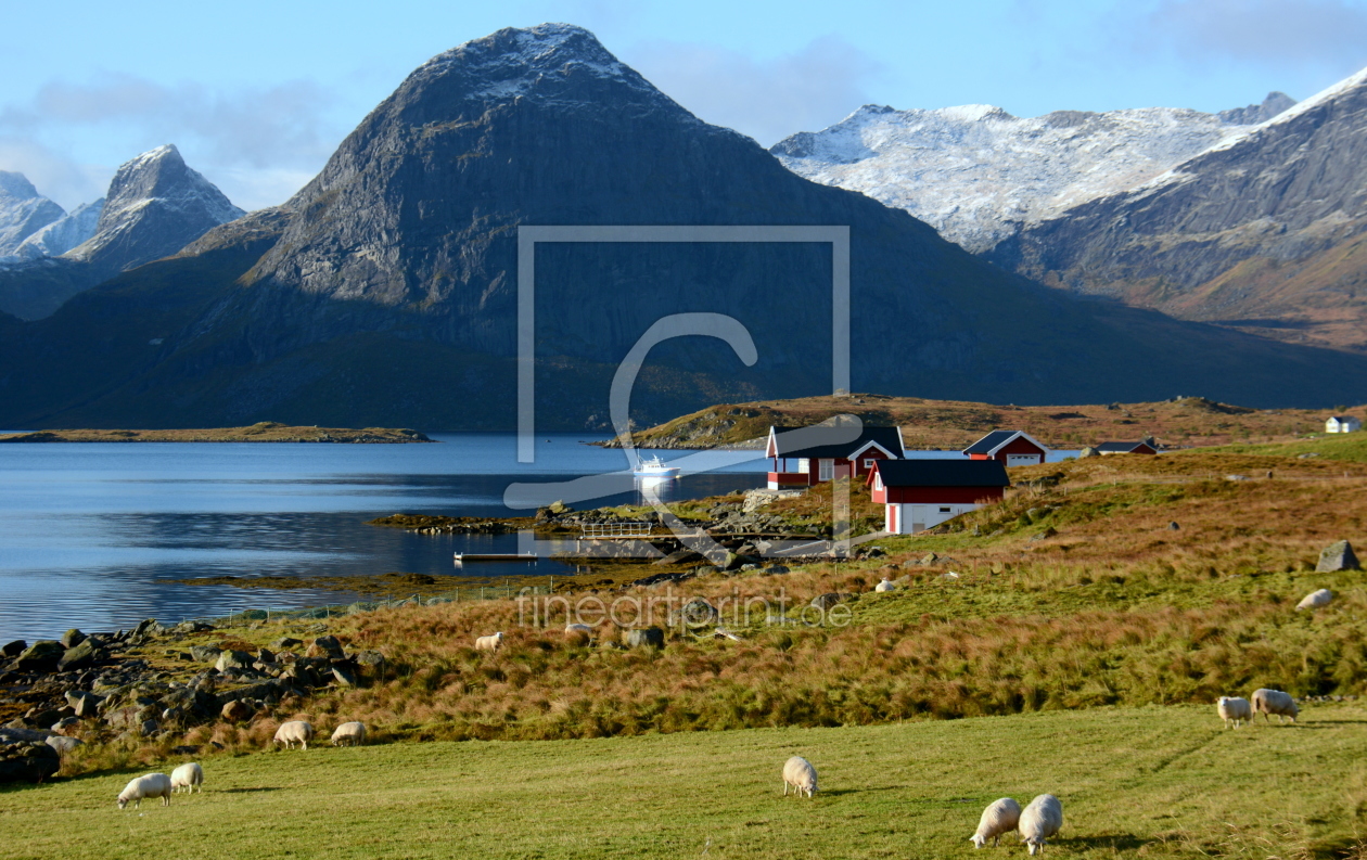 Bild-Nr.: 11377049 Lofoten erstellt von GUGIGEI