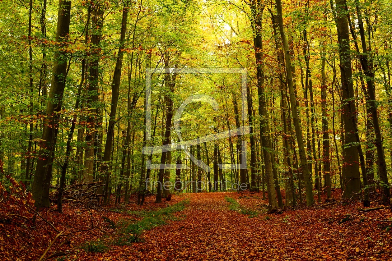 Bild-Nr.: 11379979 HERBSTZEIT Bild-Nr.: 11379979 HERBSTZEIT erstellt von Ursula Reins