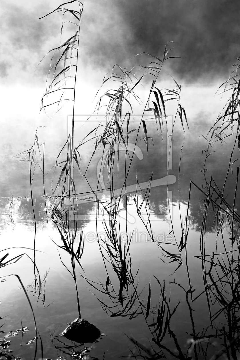 Bild-Nr.: 11381793 early fog on lake erstellt von Ursula Reins