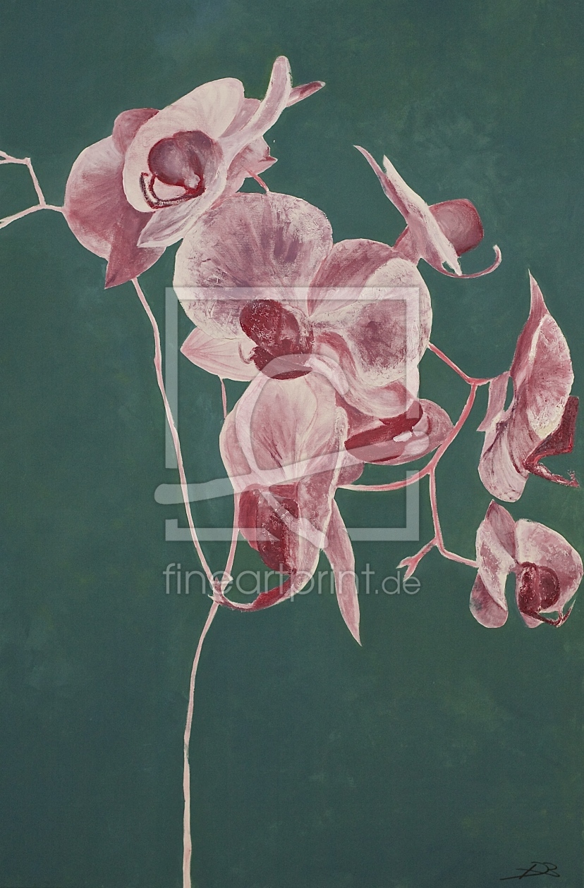 Bild-Nr.: 11383687 Orchidee erstellt von Dorothea Ruzek