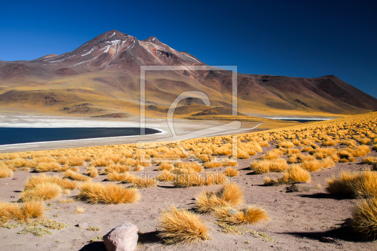 Bild-Nr.: 11384219 Lagunas Miscanti und Meniques erstellt von StefanWille