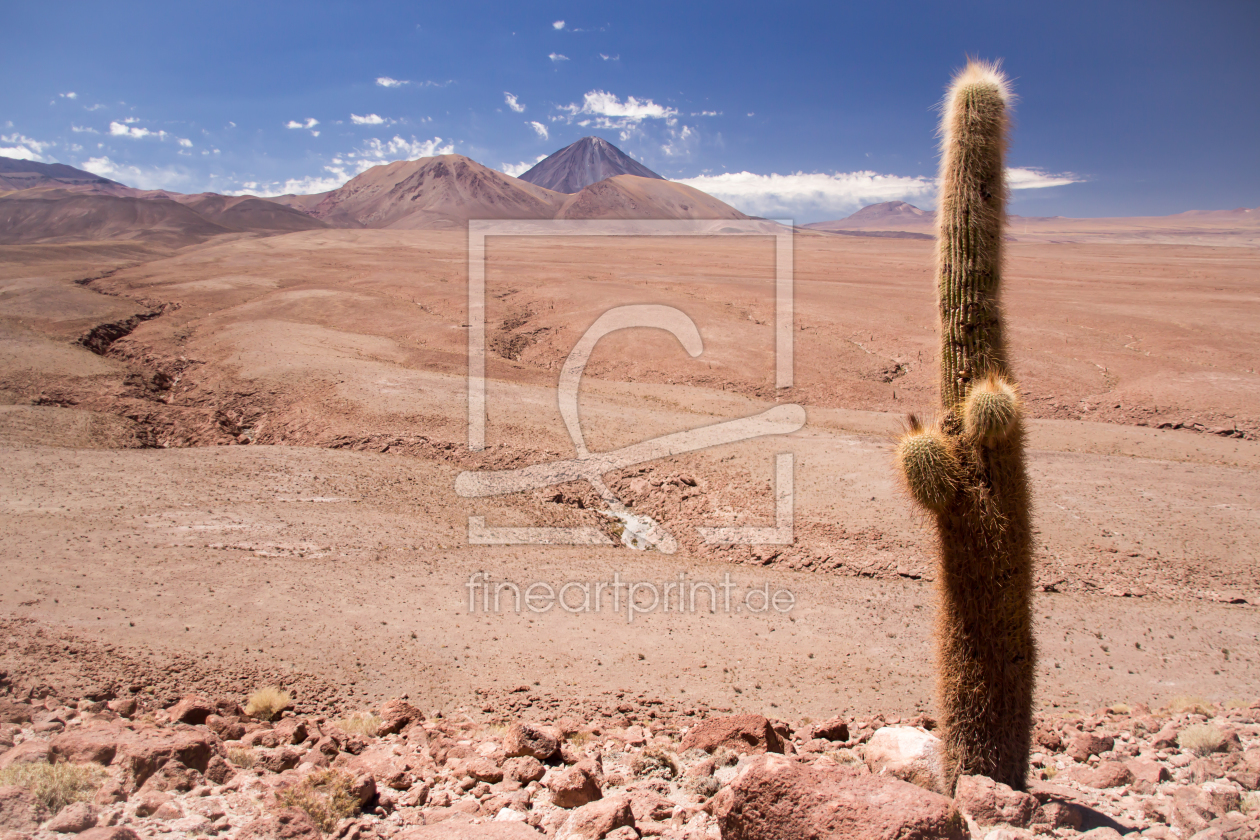 Bild-Nr.: 11384247 Vulkan Licancabur mit Kaktus erstellt von StefanWille