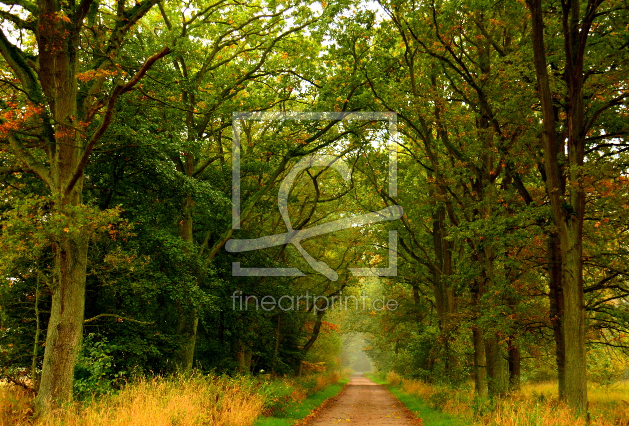 Bild-Nr.: 11384655 Herbstspaziergang erstellt von GUGIGEI