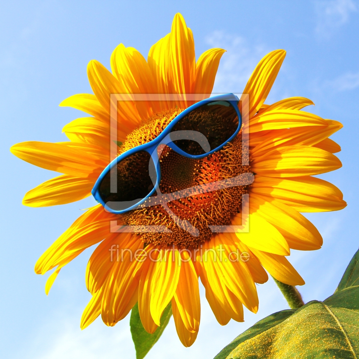 Bild-Nr.: 11384751 lustige Sonnenblume mit blauer Sonnenbrille erstellt von MikeR