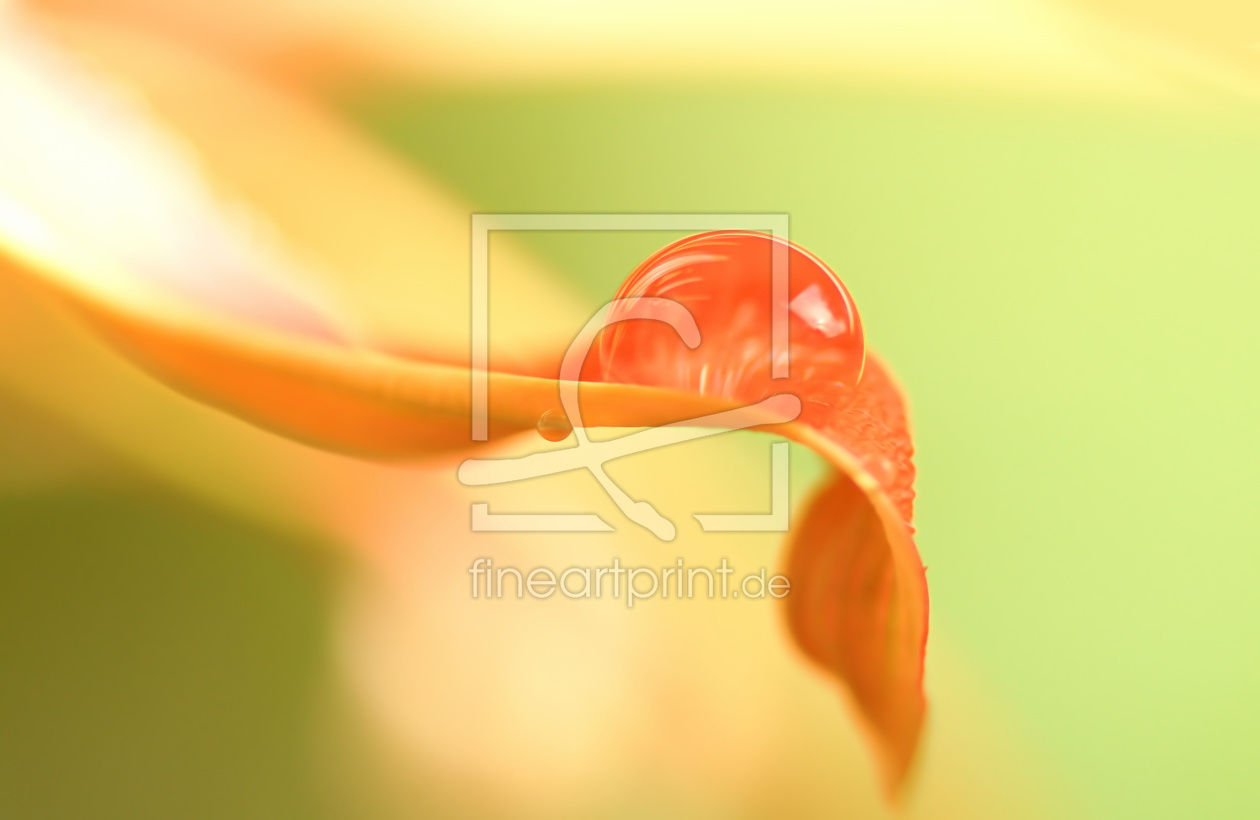Bild-Nr.: 11384993 Lightness Bild-Nr.: 11384993 Lightness erstellt von youhaveadream