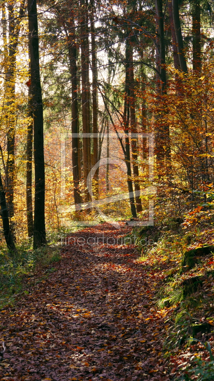 Bild-Nr.: 11386201 Herstwald erstellt von KundenNr-272456