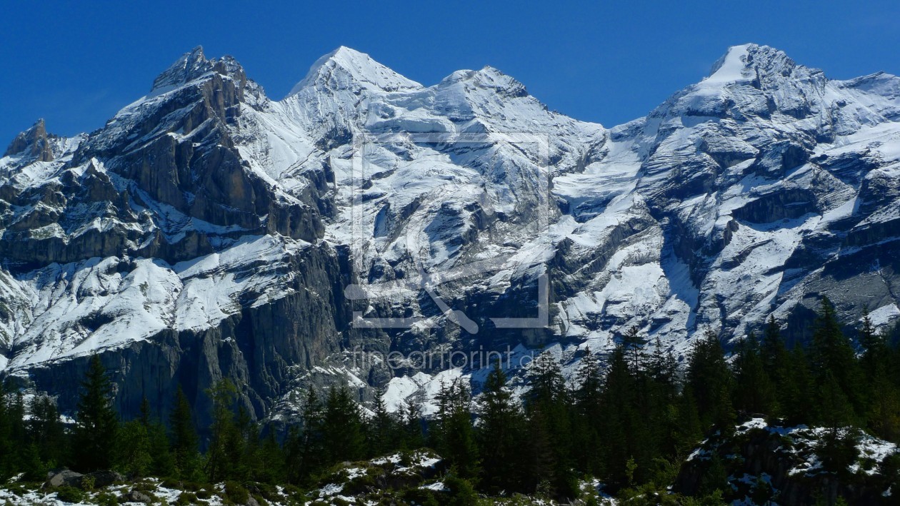 Bild-Nr.: 11389201 Nadelwald vor der Blümlisalp erstellt von kattobello