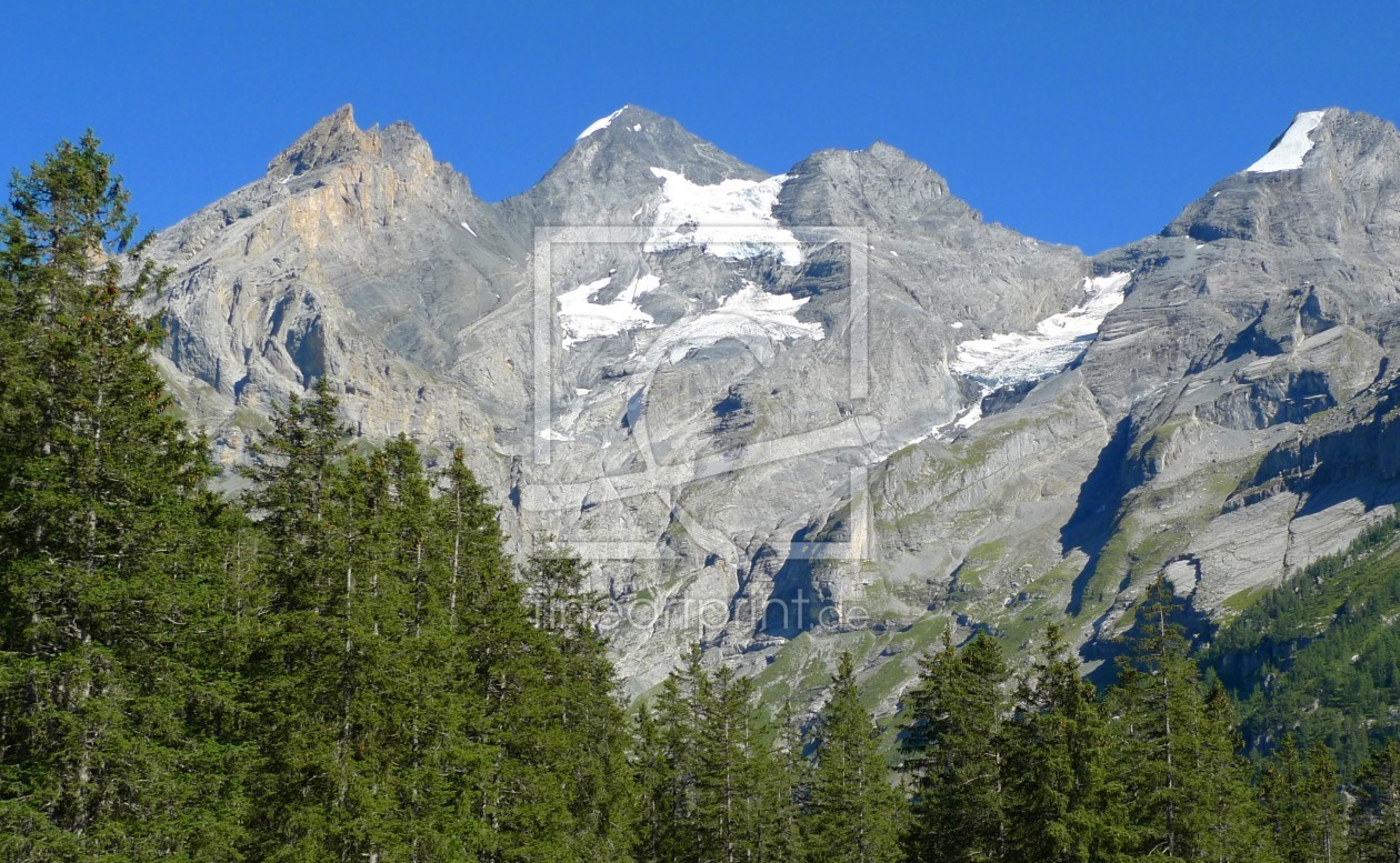 Bild-Nr.: 11389203 Nadelwald vor den Berggipfeln der Blümlisalp erstellt von kattobello