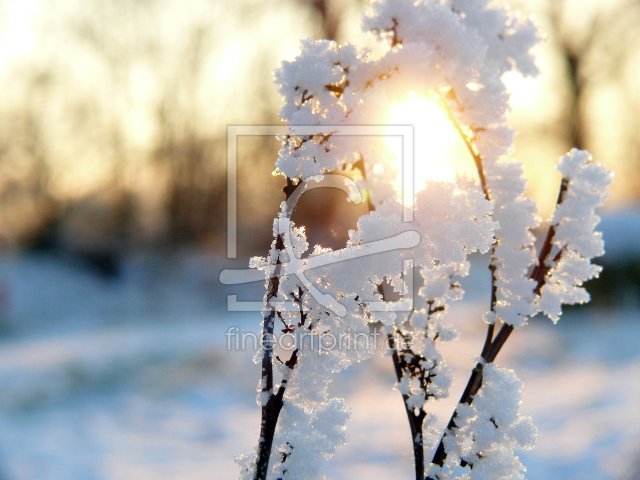 Bild-Nr.: 11389885 Winteridylle erstellt von Ostfriese