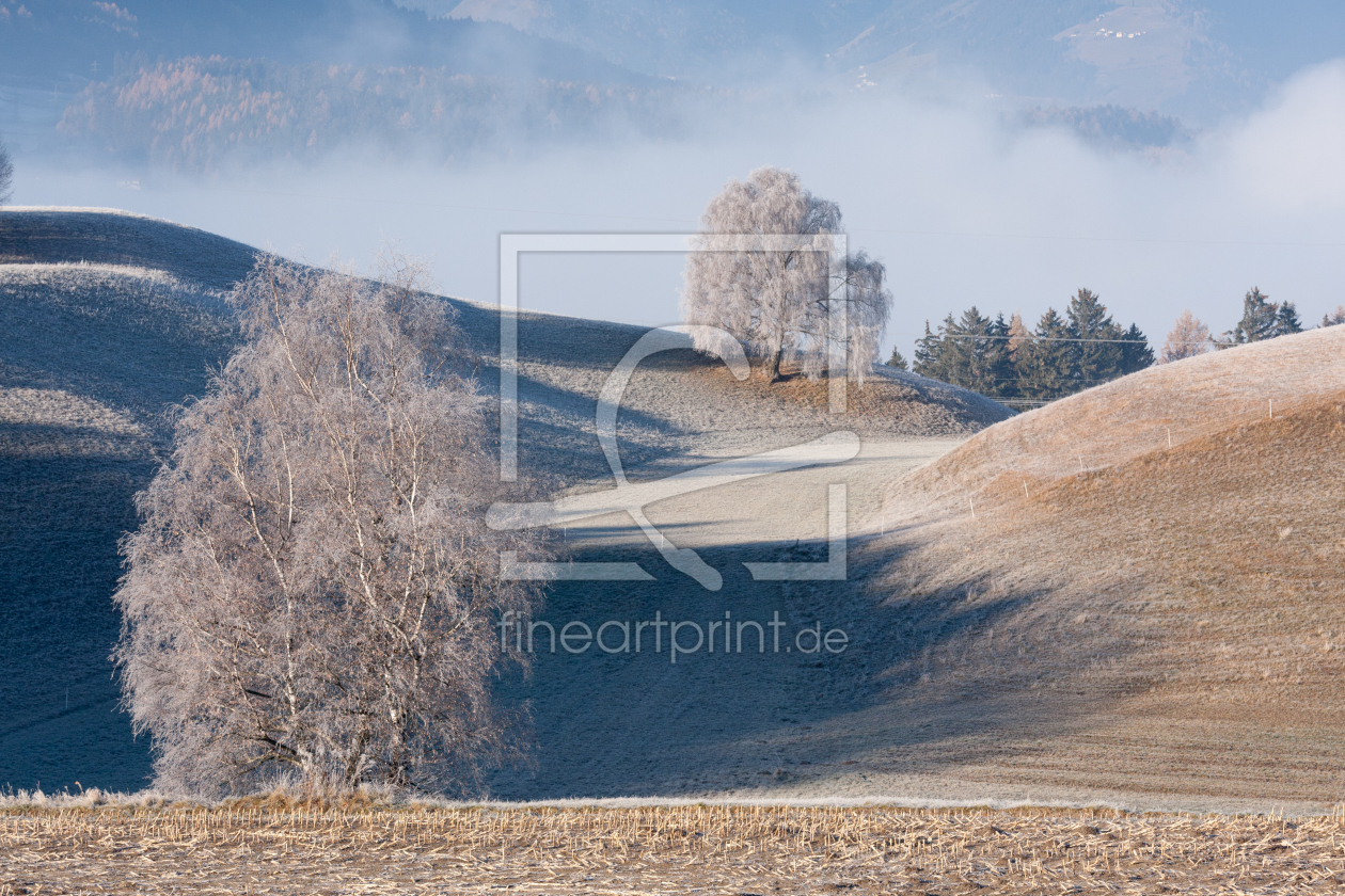Bild-Nr.: 11392263 Herbstlandschaft - Tirol erstellt von laroche