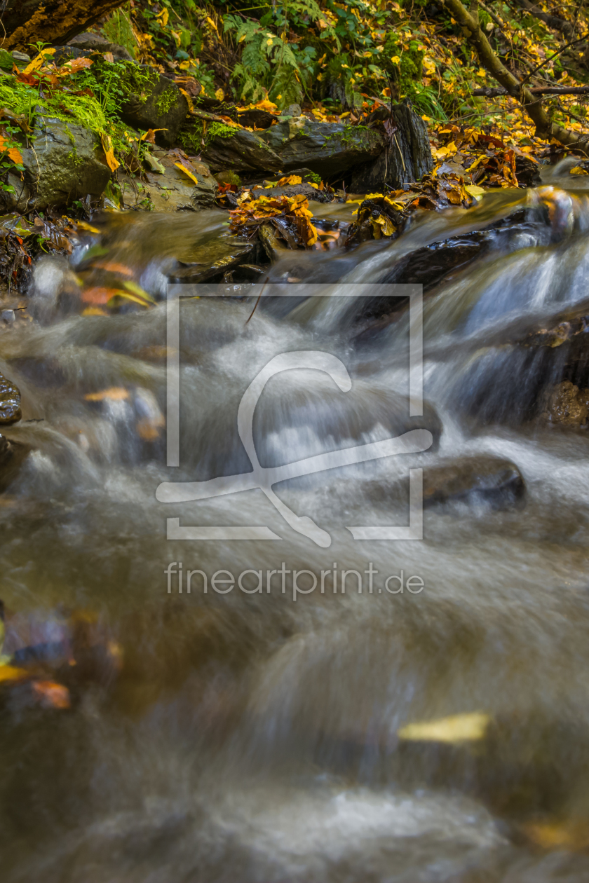 Bild-Nr.: 11393861 Am herbstlichen Bach erstellt von Richard-Young