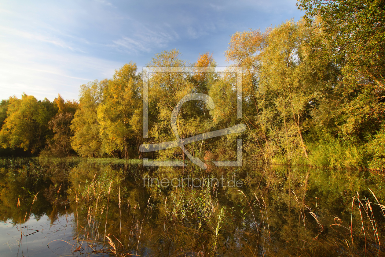 Bild-Nr.: 11394621 Leuchtender Herbst erstellt von FotoDeHRO