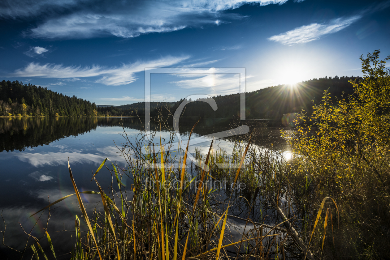 Bild-Nr.: 11394789 Windgfällweiher erstellt von danielschoenen