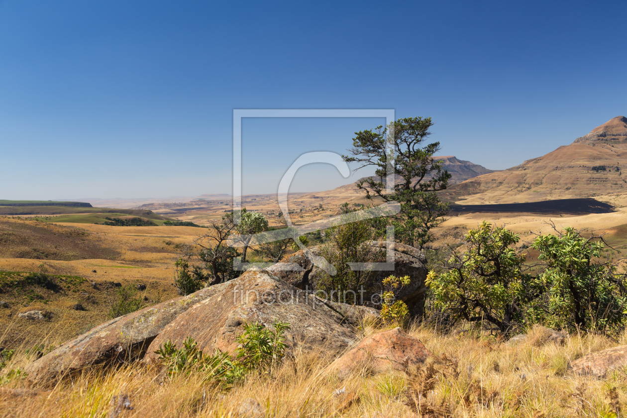 Bild-Nr.: 11395567 Drakensberge - Südafrika erstellt von TomKli