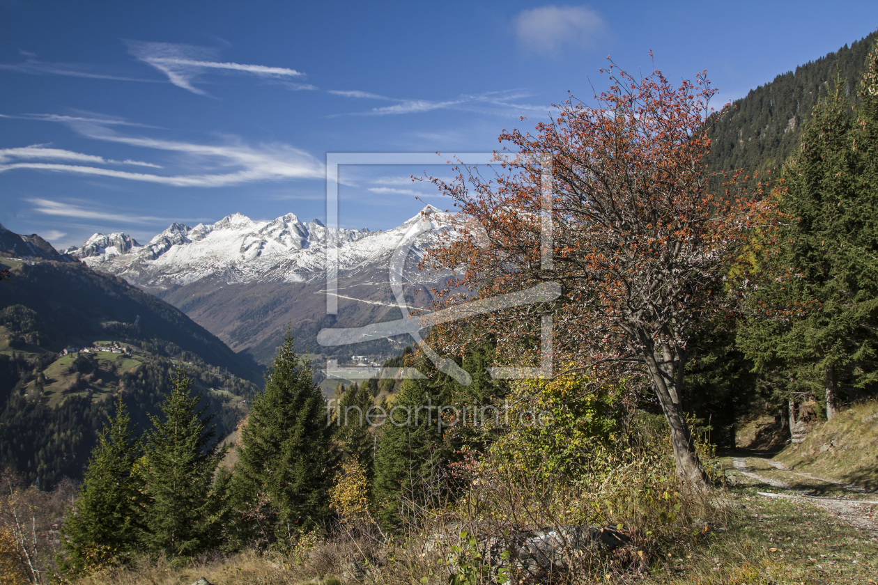 Bild-Nr.: 11395579 Herbstzeit in der Leventina erstellt von EderHans