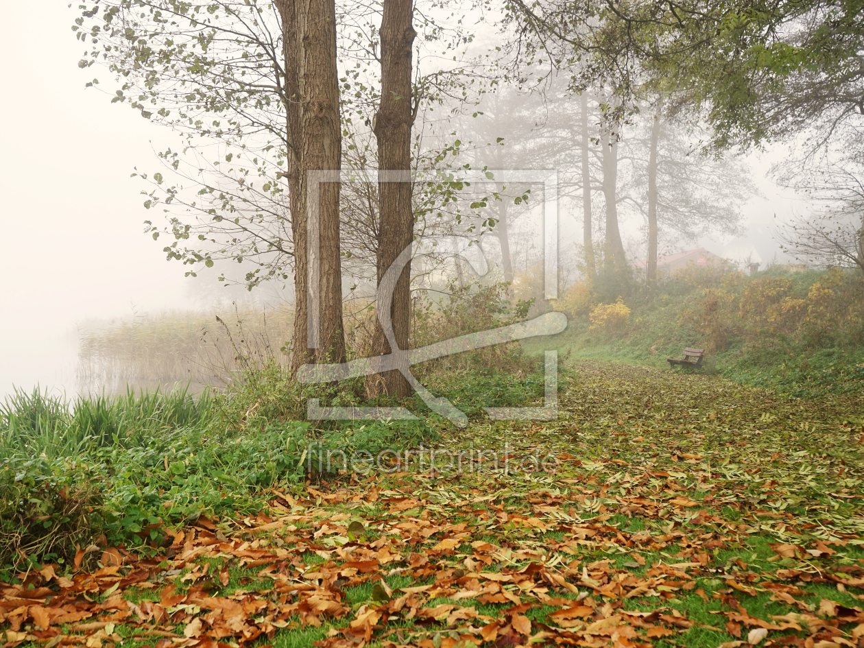 Bild-Nr.: 11395635 Herbstnebelromantik Bild-Nr.: 11395635 Herbstnebelromantik erstellt von Udo Janssen