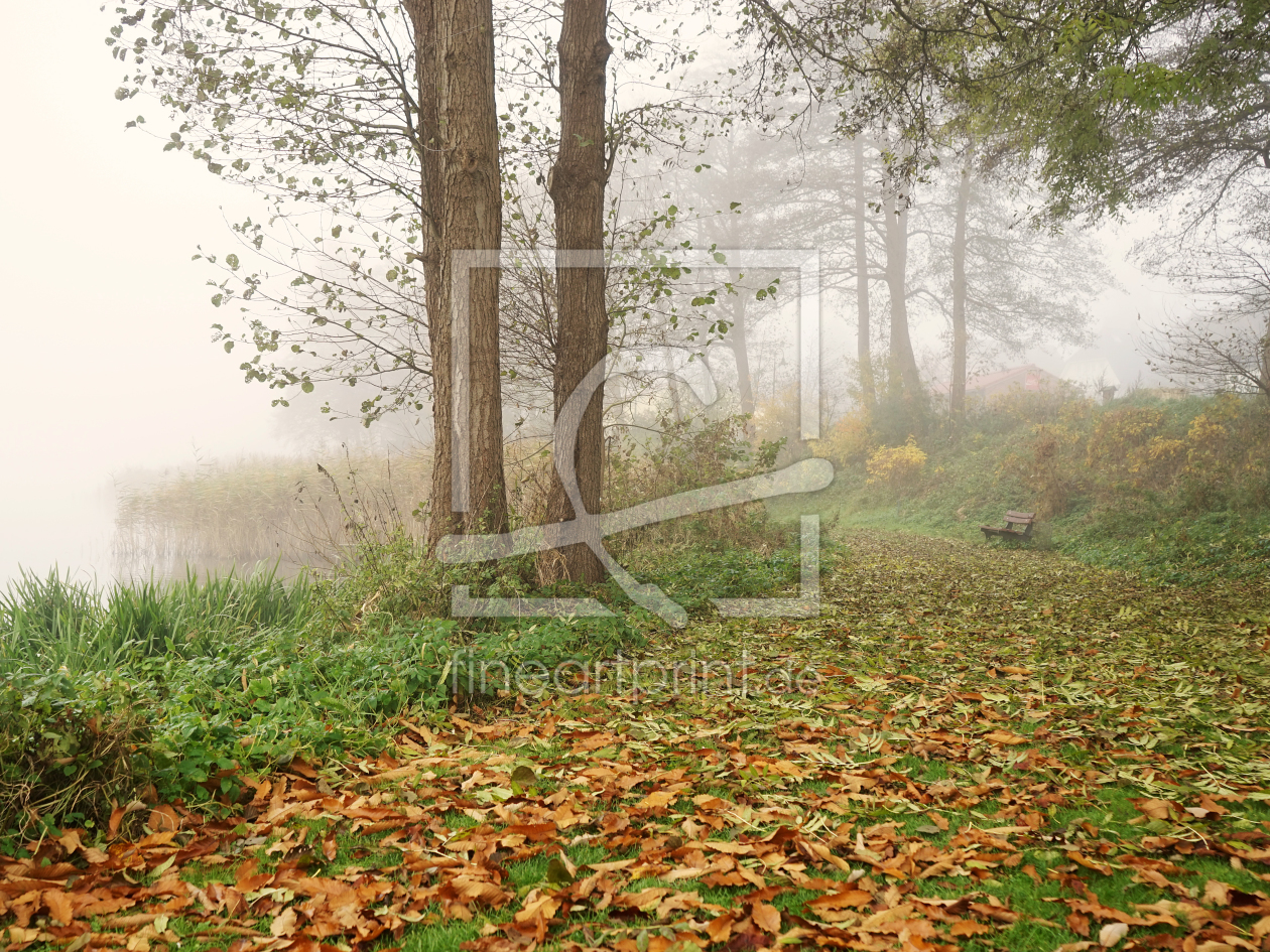 Bild-Nr.: 11395635 Herbstnebelromantik erstellt von Ostfriese