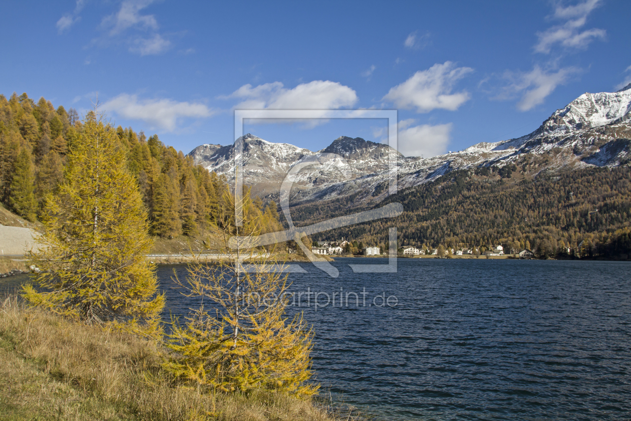 Bild-Nr.: 11396547 Herbst am Silser See erstellt von EderHans