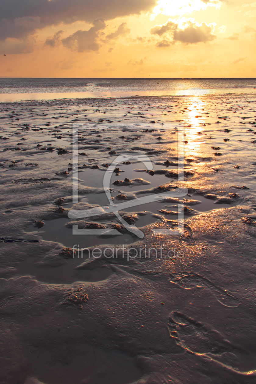 Bild-Nr.: 11397091 Sommerimpression - Büsum Nordsee erstellt von Angela  Dölling