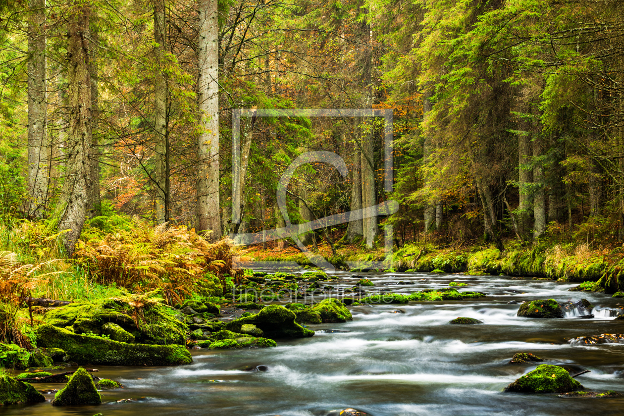 Bild-Nr.: 11397403 Großer Regen im Bayerischen Wald erstellt von stefanschurr