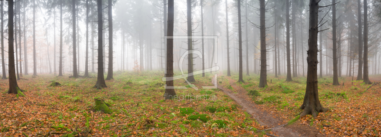 Bild-Nr.: 11398059 Herbstwald im Nebel erstellt von eyetronic