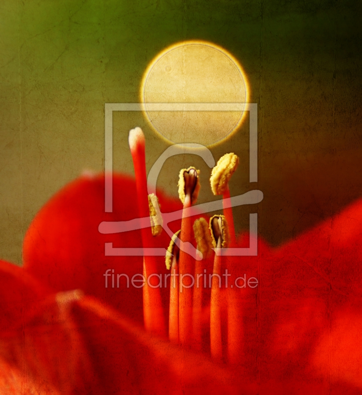 Bild-Nr.: 11398887 Blüte mit Lichtreflex erstellt von youhaveadream