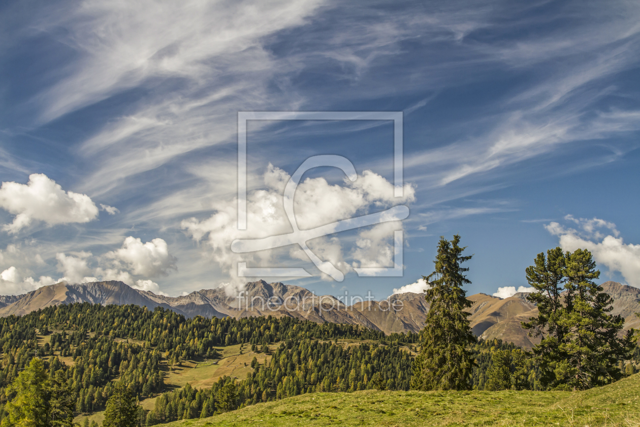 Bild-Nr.: 11399783 Auf der Gschneier Alpe erstellt von EderHans