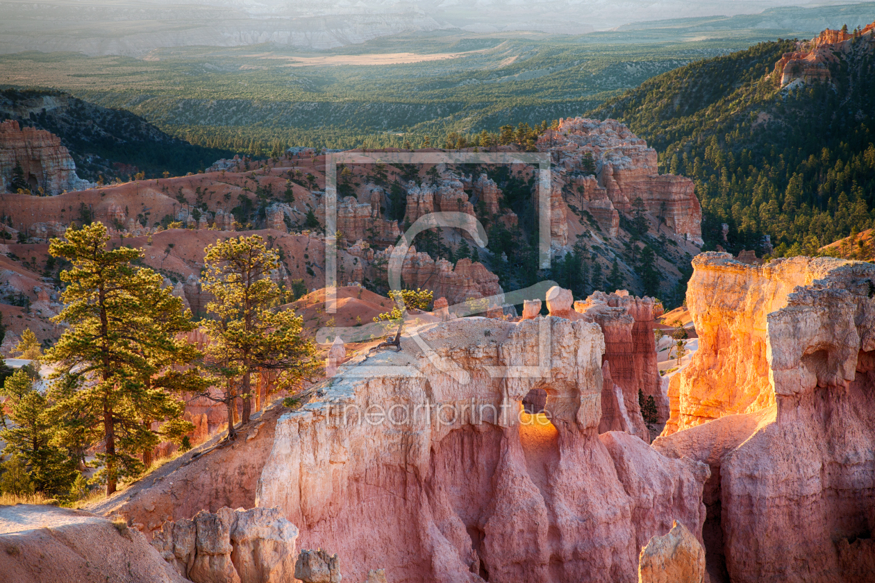 Bild-Nr.: 11400107 Bryce Canyon, USA erstellt von janschuler