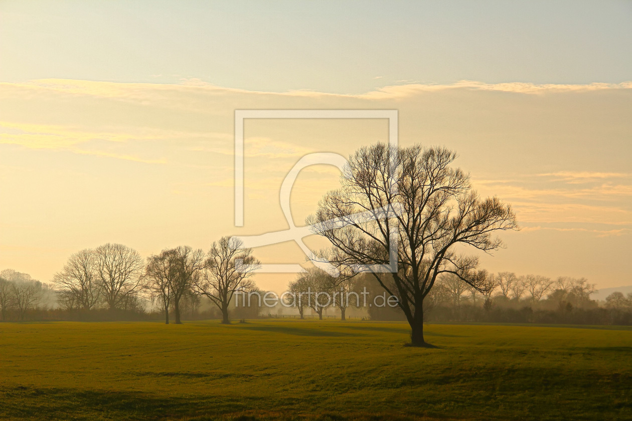 Bild-Nr.: 11401463 Malerische Herbstlandschft erstellt von falconer59