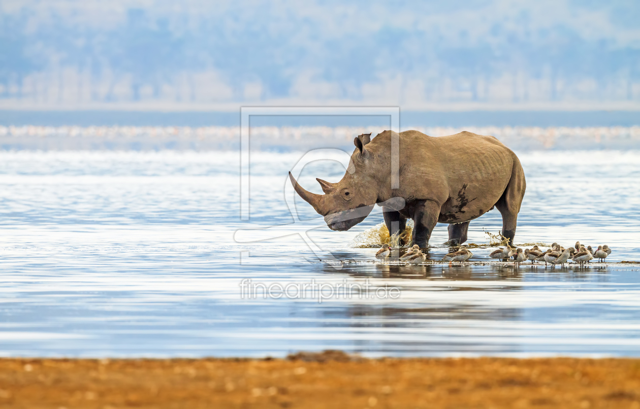 Bild-Nr.: 11402711 Rhino am See erstellt von Safarifotografie