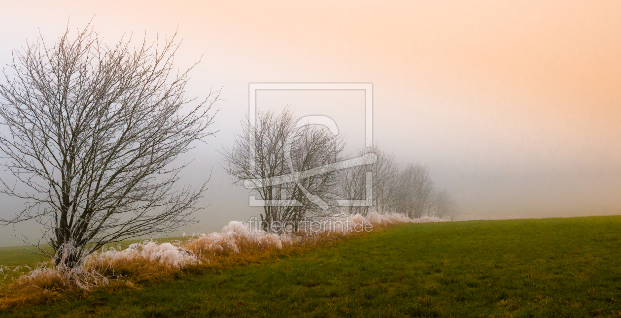 Bild-Nr.: 11403889 Frostbaum erstellt von Steffen Henze