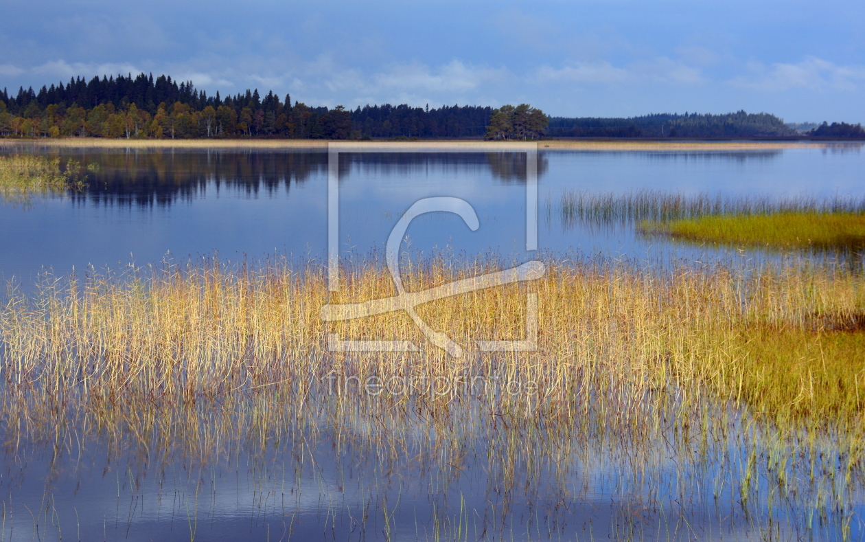 Bild-Nr.: 11404191 Herbst in Schweden erstellt von GUGIGEI