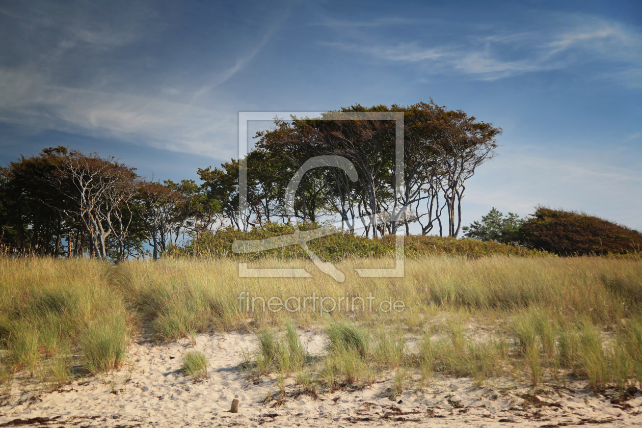 Bild-Nr.: 11406184 Weststrand erstellt von FotoDeHRO