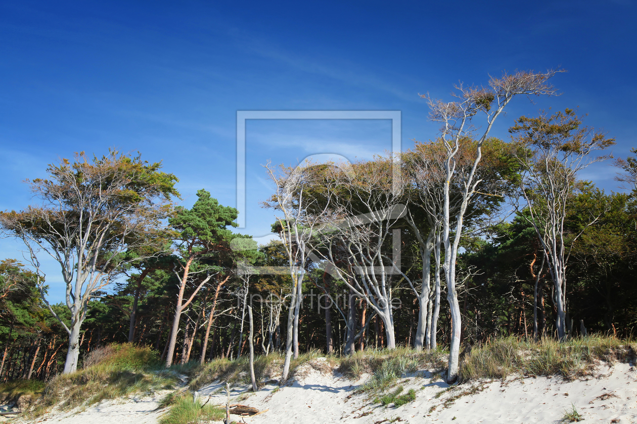 Bild-Nr.: 11406200 Weststrand erstellt von FotoDeHRO