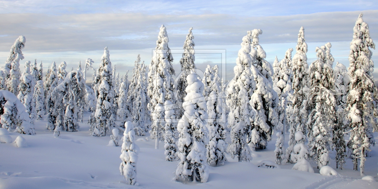 Bild-Nr.: 11406690 winterliches Panorama erstellt von GUGIGEI