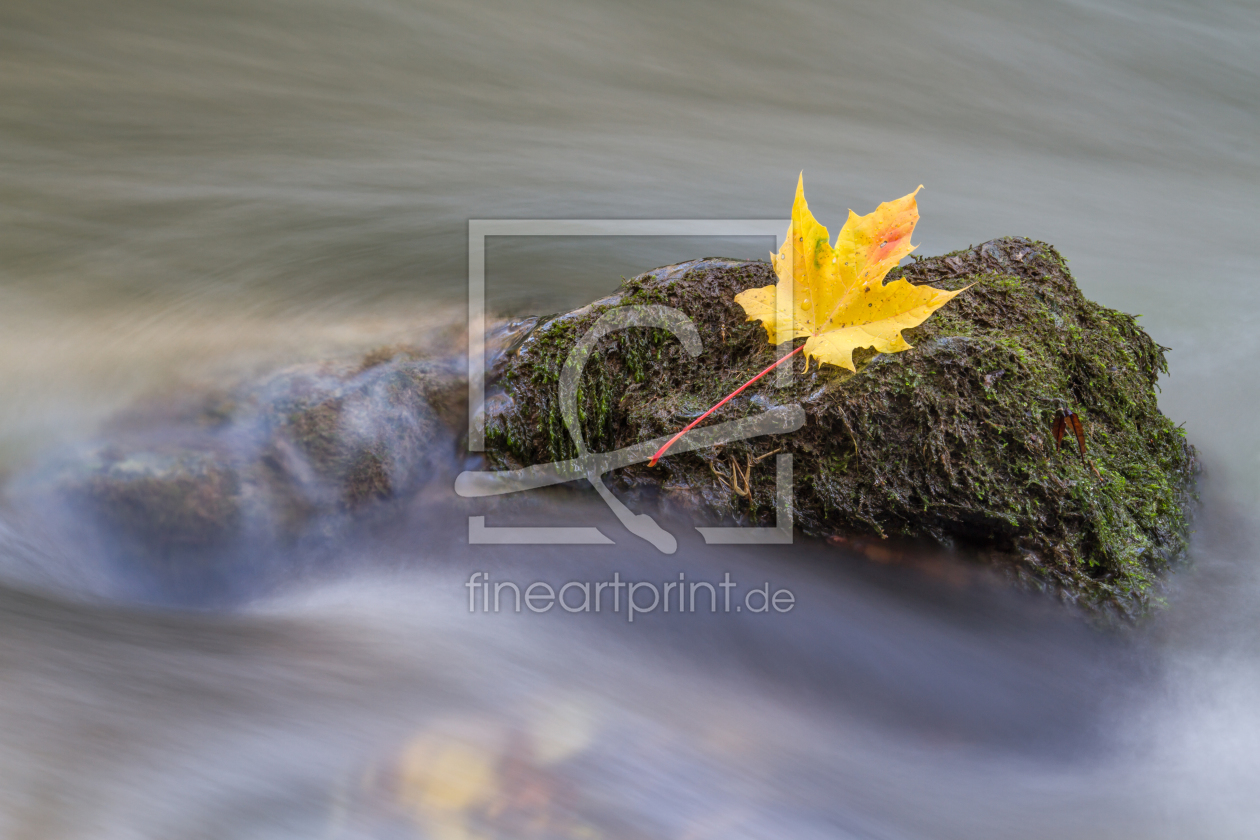 Bild-Nr.: 11407564 Am Fluss erstellt von Fotostyler