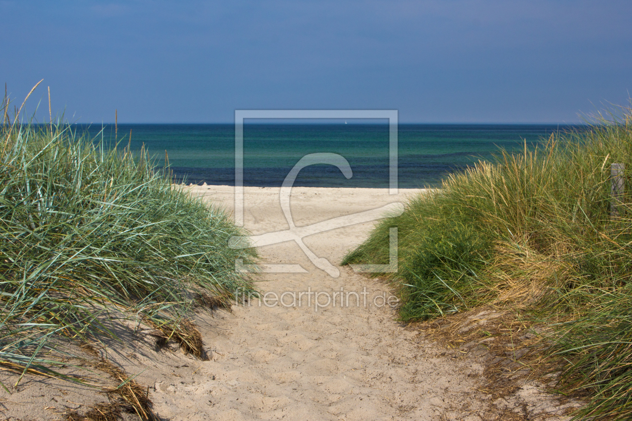 Bild-Nr.: 11408180 Strandabgang auf dem Darß 3 erstellt von Anja Schäfer