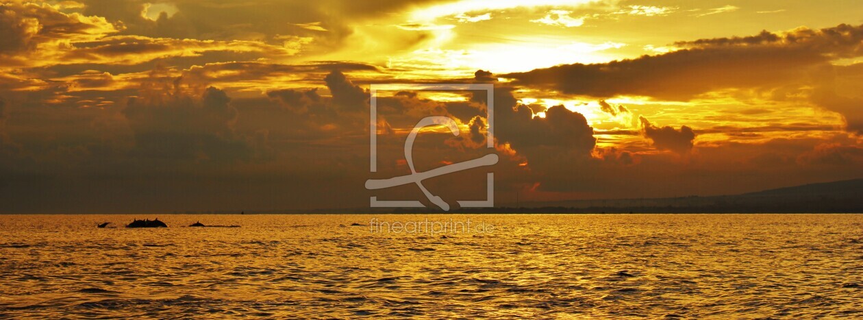 Bild-Nr.: 11408797 SunriseDolphines erstellt von KundenNr-279661