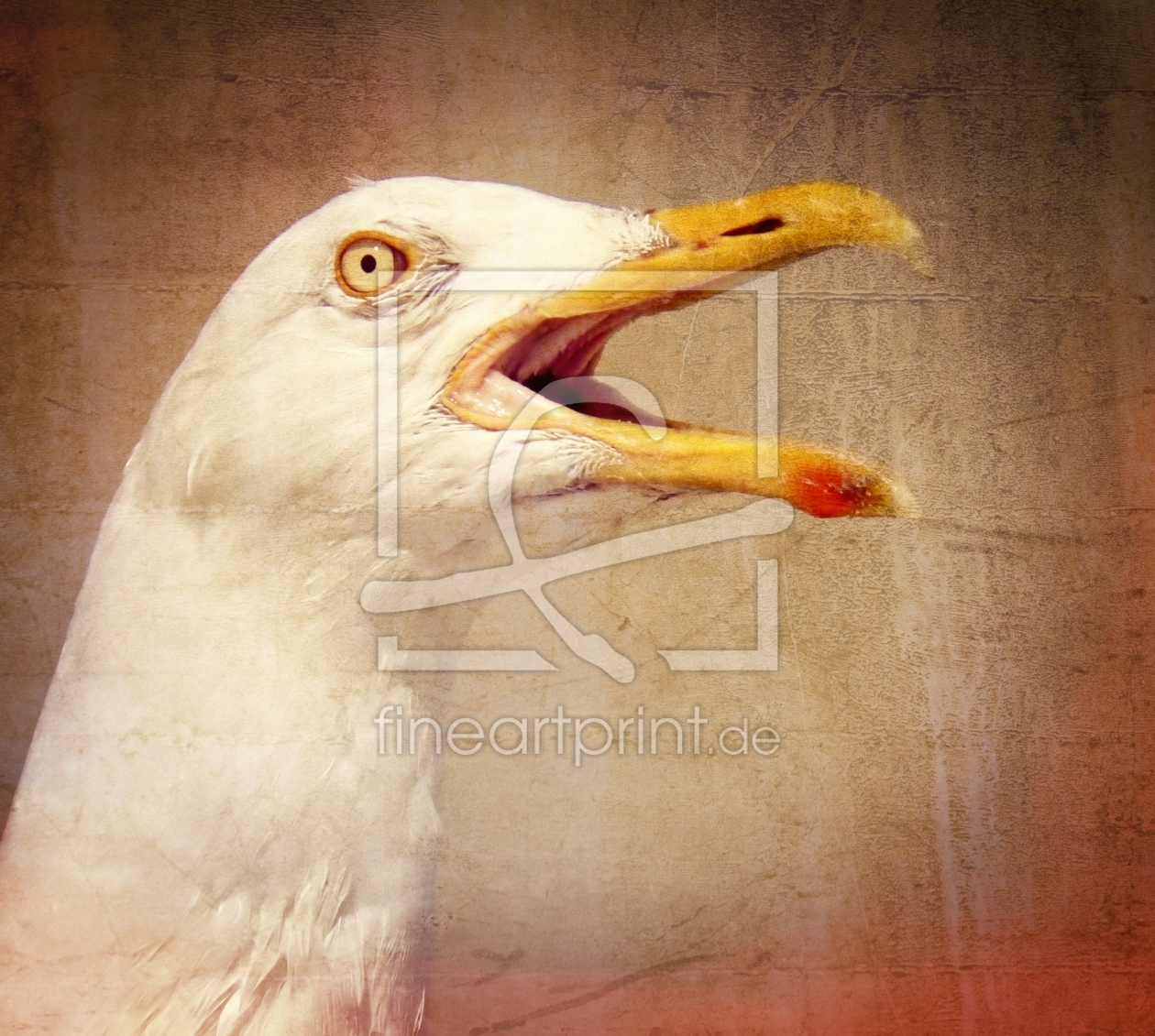 Bild-Nr.: 11410132 Laughing seagull erstellt von youhaveadream