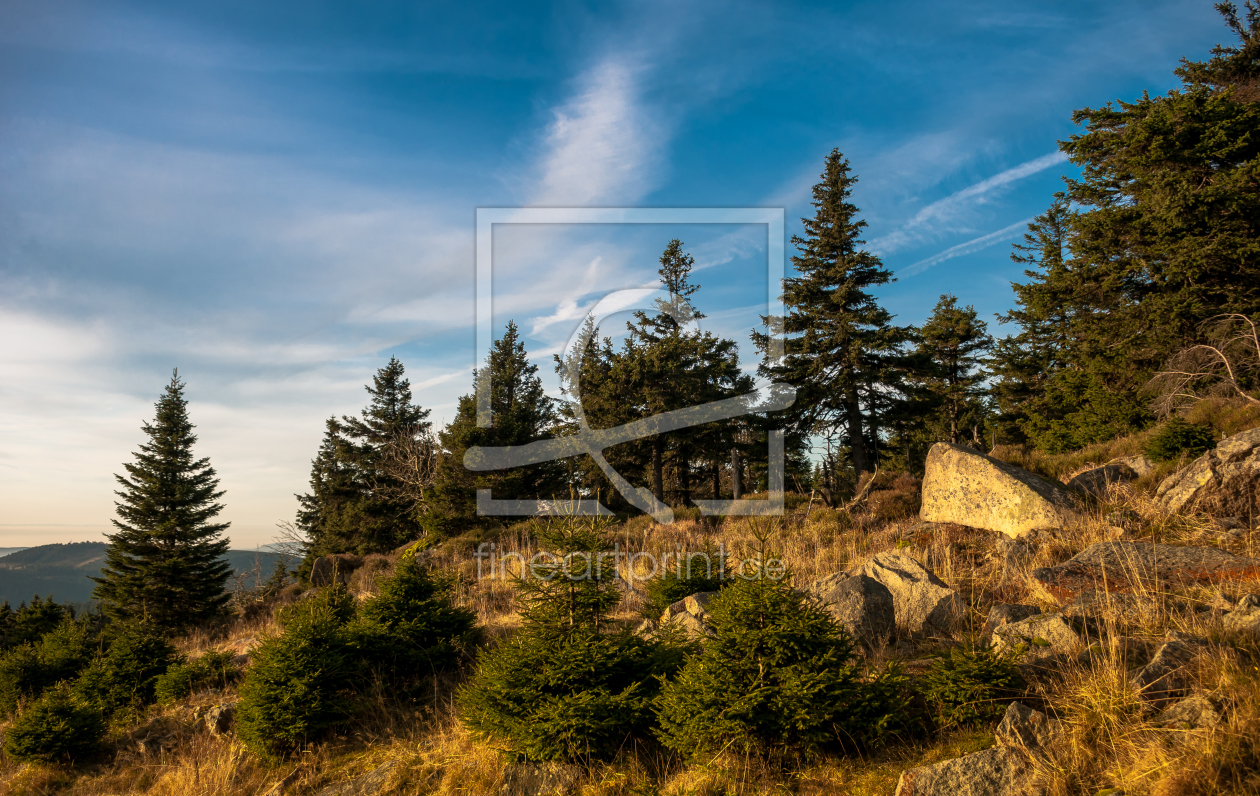 Bild-Nr.: 11410531 Brockenwald erstellt von Steffen Henze