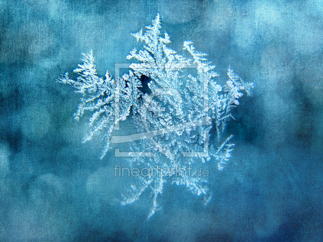 Bild-Nr.: 11410646 Iceblue Bild-Nr.: 11410646 Iceblue erstellt von Thomas Herzog