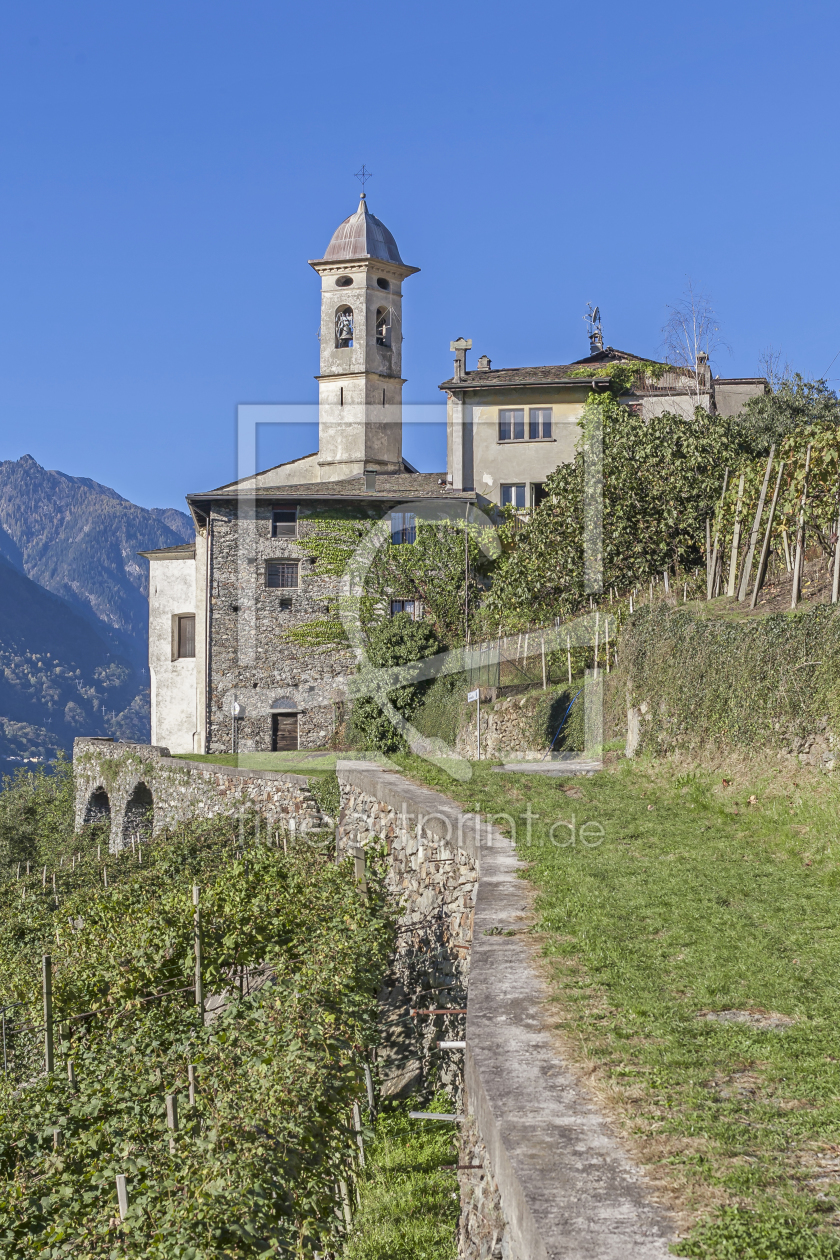 Bild-Nr.: 11411076 Sassella im Veltlin erstellt von EderHans