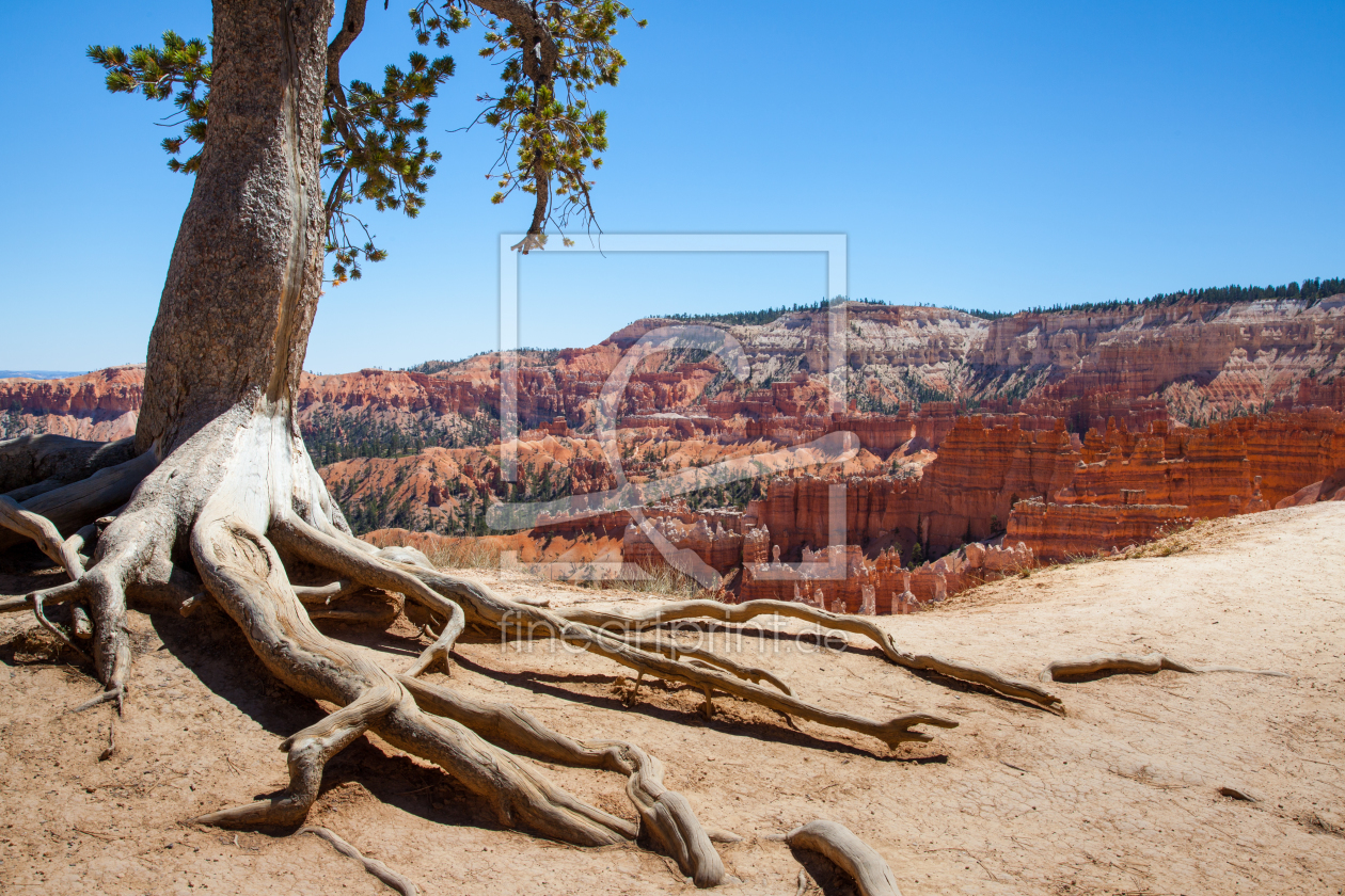 Bild-Nr.: 11411167 Bryce Canyon, USA erstellt von janschuler