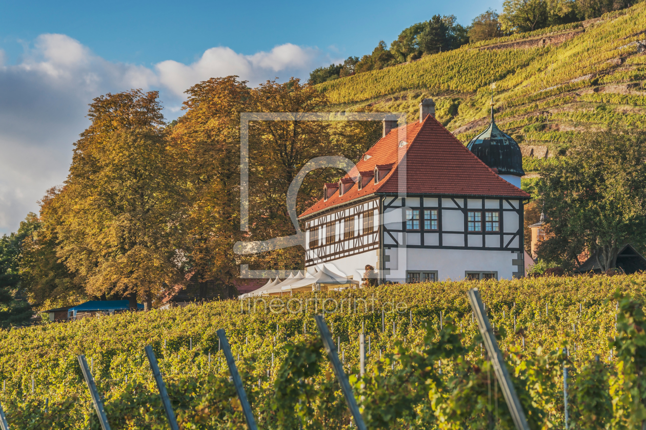 Bild-Nr.: 11411386 Schloss Hoflößnitz, Radebeul  erstellt von GCK