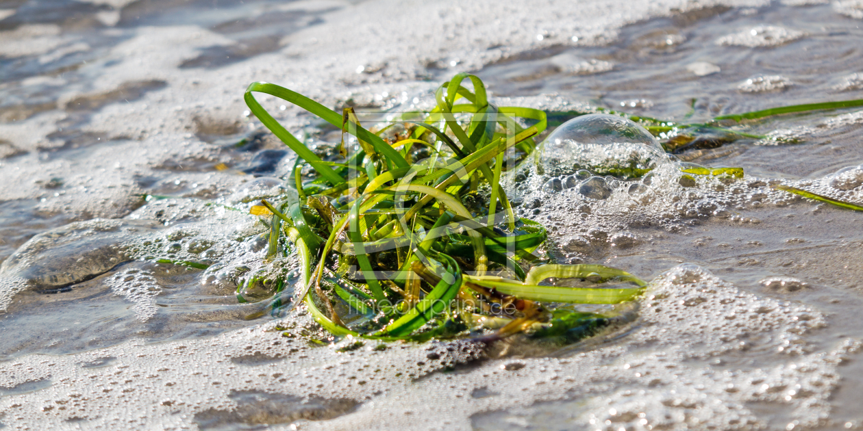 Bild-Nr.: 11411827 Strandgut erstellt von Fotofilter